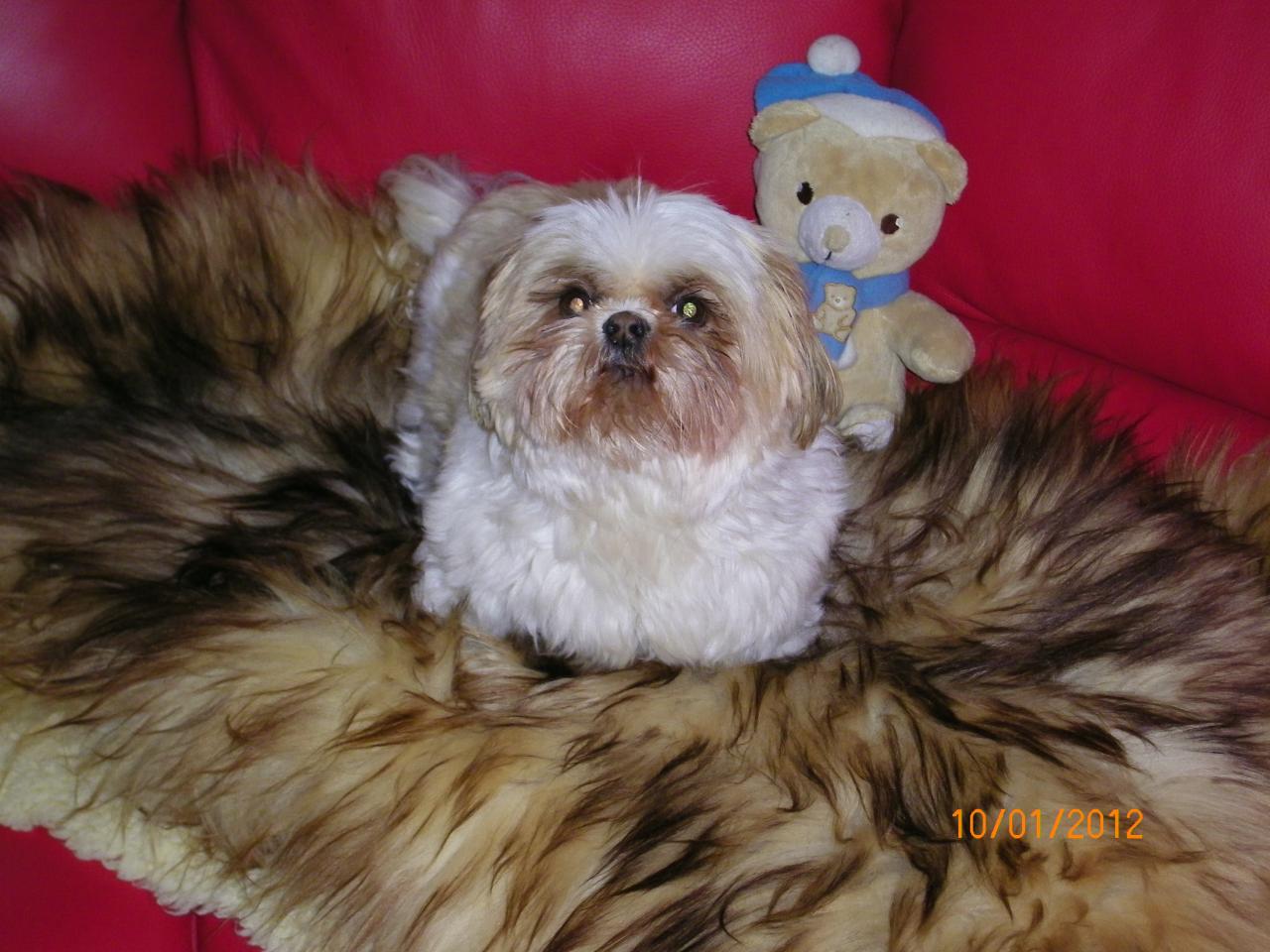 USCHI 8ans
