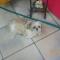 Uschi-61 9 ans