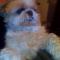 Uschi-92 11 ans