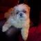 Uschi-94 11 ans