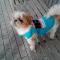 Uschi-95 11 ans