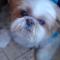 Uschi-97 11 ans