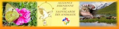 Alliance essenienne de sauvegarde des animaux