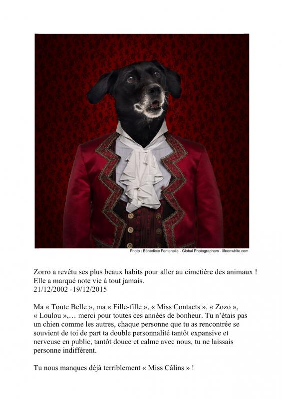 Deces de zorro 19 12 15