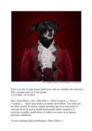 Deces de zorro 19 12 15