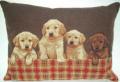 hf_labrador_puppies.jpg