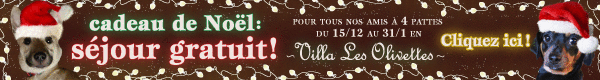 Lesolivettes banner 01