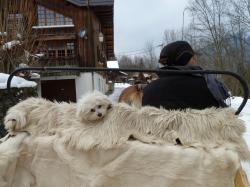 Rachel et sa chienne.jpg