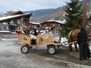 traineaux-morzine.jpg