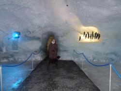 pavillon-de-glace-fee.jpg