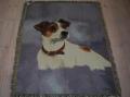 plaid_jackrussel.jpg