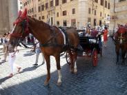 Rome en cale che