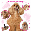 tom-beauty-drogenbos-toilettage.png
