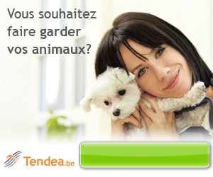 www.tendea.be
